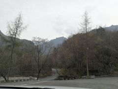 -陕西省红河谷森林公园