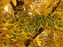 -北京网络广播电视台