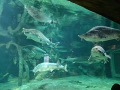 -华夏文旅海洋公园