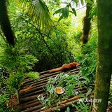 闯入熊猫🐼睡眠王国？[害羞]