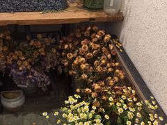 -绿房子方寸咖啡(星海名城店)