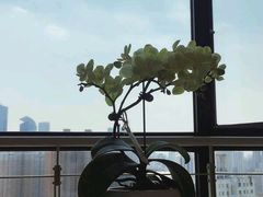 -惟初心理咨询工作室(静安分店)