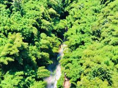 -川西竹海景区