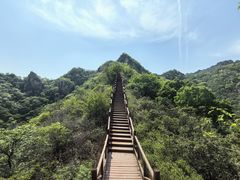 -大岭沟猕猴桃谷风景区