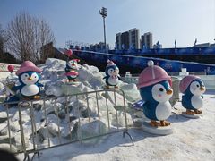 -沈阳奥体冰雪嘉年华