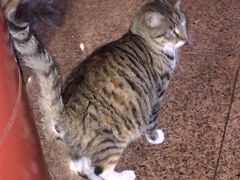 -如家酒店(上海南京路人民广场店)