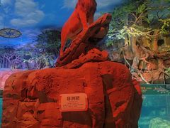 -珠海长隆海洋王国