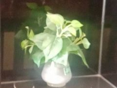 -德全心悦酒店(北京金台路地铁站店)