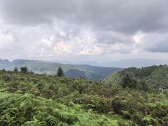 -乌蒙大草原