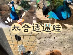 -厦门园林博览苑