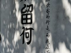 -浏河古镇