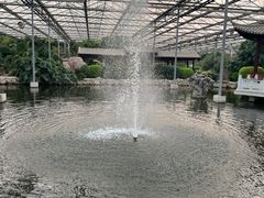 -九天休闲谷