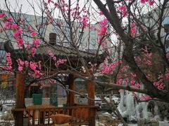 -北京邮电会议中心