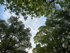 -苏州公园(双塔街道)