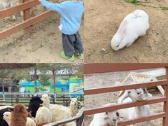 -盈香心动乐园