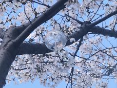 -新天地活力PARK