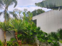 -候鸟水榕庄度假酒店
