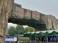 -合肥野生动物园