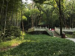 -青龙山国家森林公园