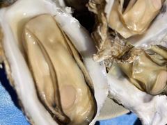 -千岛蚝高压锅生蚝·人参火锅(白云万达店)