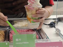 -Salud撒露欧洲冻酸奶(五道口购物中心店)