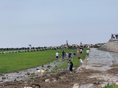 -南汇嘴观海公园
