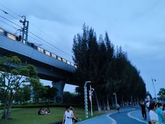 -宝安西湾红树林湿地公园