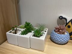 -蜜蜂读书·24h自习室(角门西店)