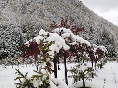 -亚拉雪山风景区