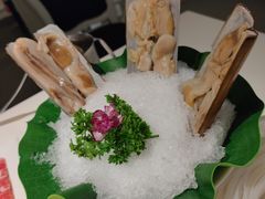 蛏子王-汤城·料青山