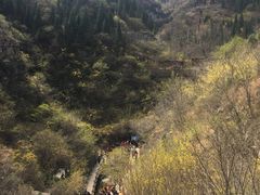 -黄花溪