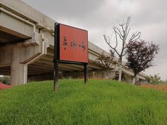 -秀丽东方