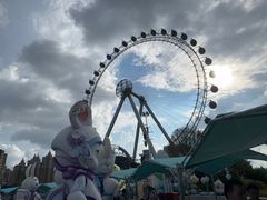 -海合安武汉极地海洋公园