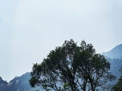 -北京凤凰岭