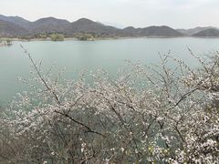-易水湖景区