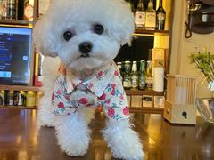 -美迦爱-牙专科·兔科·骨科诊疗中心(北苑店)