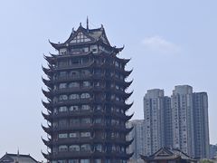 -眉山湿地公园(东坡区)