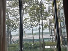 -樟宜机场皇冠假日酒店 （SG Clean） - IHG 旗下酒店