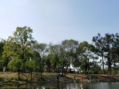 -两河城市森林公园