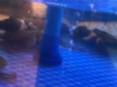 -海立阁海鲜江浙菜(漕河泾印象城店)