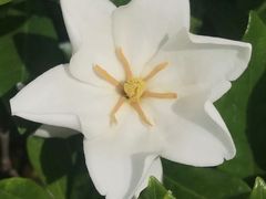 -玻璃桥景区石牛寨