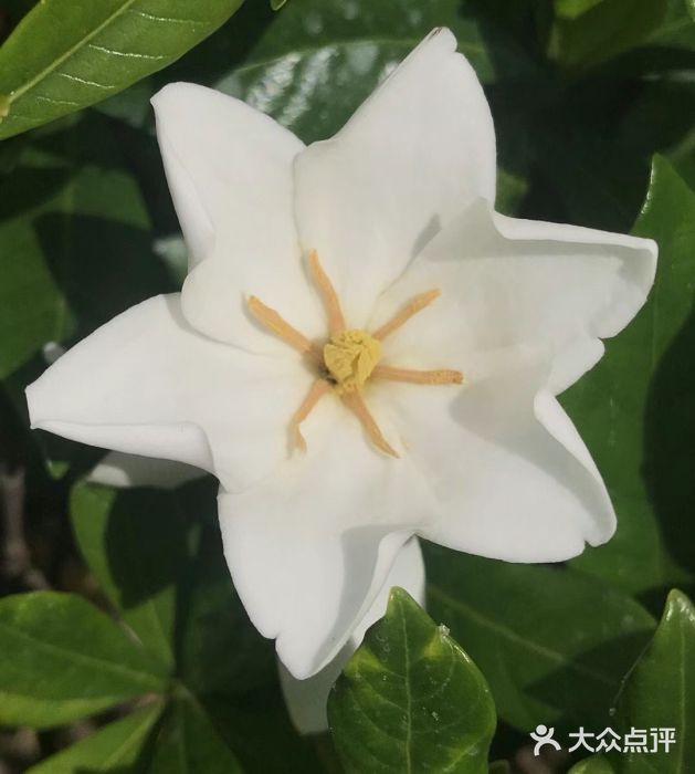 玻璃桥景区石牛寨图片