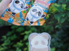 -成都大熊猫繁育研究基地