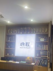 -心联形象设计·流星染