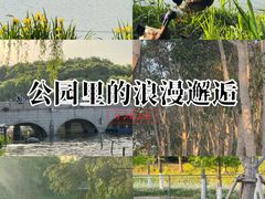 -昆山城市生态森林公园