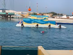 -秦皇岛乐岛海洋王国