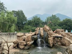 -西安秦岭野生动物园
