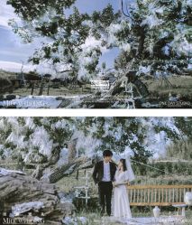 点击看大图 -米迪婚礼