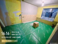 -大树装饰·十年本土家装