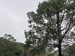 -陶祖圣境风景区